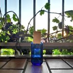 عطر ادکلن آکوا کوروم آنتونیو پوگ - Aqua Quorum Antonio Puig - بررسی، قیمت و خرید