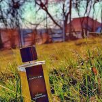 عطر ادکلن پاریس الکساندری کارون - Paris Alexandrie Carven - بررسی، قیمت و خرید