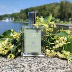 عطر ادکلن تیلیا کورداتا آکا کاپا - Tilia Cordata Acca Kappa - بررسی، قیمت و خرید