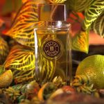 عطر ادکلن ولوت روژ آرته پروفومی - Velvet Rouge Arte Profumi - بررسی، قیمت و خرید