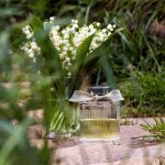 عطر ادکلن لو د کلوئه کلوئه - L'Eau de Chloe Chloé - بررسی، قیمت و خرید