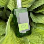 عطر ادکلن کالر فیلیگ گرین بروکارد - Color Feeling Green Brocard - بررسی، قیمت و خرید