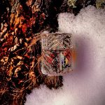 عطر ادکلن انجلز شِر بای کیلیان - Angels' Share By Kilian - بررسی، قیمت و خرید