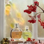 عطر ادکلن چنس او دو تویلت شانل - Chance Eau de Toilette Chanel - بررسی، قیمت و خرید
