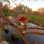 عطر ادکلن کُرویانس اُر شری پارفوم - Croyance Or Charrier Parfums - بررسی، قیمت و خرید