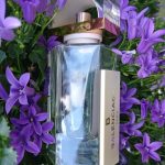 عطر ادکلن بی بالنسیاگا اسکین بالنسیاگا - B. Balenciaga Skin Balenciaga - بررسی، قیمت و خرید