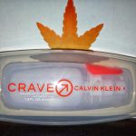 عطر ادکلن کریو کلوین کلاین - Crave Calvin Klein - بررسی، قیمت و خرید