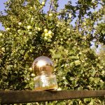عطر ادکلن امپرنت کورژ - Empreinte Courrèges - بررسی، قیمت و خرید