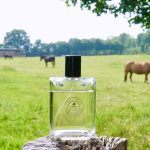 عطر ادکلن موراککن میر کراب‌تری اند اولین - Moroccan Myrrh Crabtree & Evelyn - بررسی، قیمت و خرید