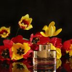 عطر ادکلن ونیٹی فم اسنس آرماف - Vanity Femme Essence Armaf - بررسی، قیمت و خرید