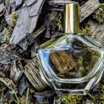 عطر ادکلن اسپایر دبیوت ایوون - Aspire Debut Avon - بررسی، قیمت و خرید