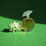 عطر ادکلن هیسطور دَموغ اوبوسون - Histoire D'Amour Aubusson - بررسی، قیمت و خرید