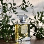 عطر ادکلن شانل نامبر نوزده پودره شانل - Chanel No 19 Poudre Chanel - بررسی، قیمت و خرید