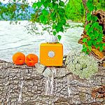 عطر ادکلن سانشاین وومن آمواژ - Sunshine Woman Amouage - بررسی، قیمت و خرید