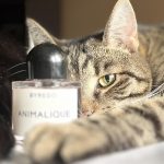 عطر ادکلن انیملیک بایردو - Animalique Byredo - بررسی، قیمت و خرید