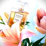 عطر ادکلن کوکو مدمازل شنل - Coco Mademoiselle Chanel - بررسی، قیمت و خرید