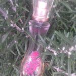 عطر ادکلن تاچ آو سداکشن کریستینا آگیلرا - Touch of Seduction Christina Aguilera - بررسی، قیمت و خرید