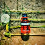 عطر ادکلن فوگور کال فراگرانتسه داتوره - Fulgor Cale Fragranze d’Autore - بررسی، قیمت و خرید