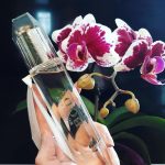 عطر ادکلن بادی او د تویلت بربری - Body Eau de Toilette Burberry - بررسی، قیمت و خرید