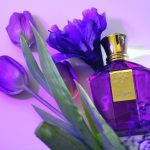 عطر ادکلن زاگر بلند عود - Zagar Blend Oud - بررسی، قیمت و خرید