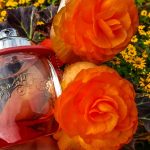 عطر ادکلن کوچ فلورال بلش کوچ - Coach Floral Blush Coach - بررسی، قیمت و خرید