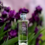 عطر ادکلن آیریس اند تونکا بین کلون زیشن - Iris & Tonka Bean Cologne-Zation - بررسی، قیمت و خرید
