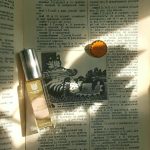 عطر ادکلن اَپِل اُرچِرد آنا ژورکینا پرفیومز - Apple Orchard Anna Zworykina Perfumes - بررسی، قیمت و خرید