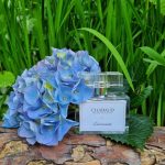 عطر ادکلن لِ کُنسِنتِره شابو - Lait Concentré Chabaud Maison de Parfum - بررسی، قیمت و خرید