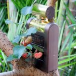 عطر ادکلن شیدز وود آرماف - Shades Wood Armaf - بررسی، قیمت و خرید