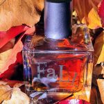 عطر ادکلن فال کریمینال المنتس - Fall Criminal Elements - بررسی، قیمت و خرید
