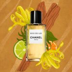عطر ادکلن بوا دزیل شانل - Bois des Iles Chanel - بررسی، قیمت و خرید