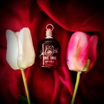 عطر ادکلن امور امور ابسولو کچرل - Amor Amor Absolu Cacharel - بررسی، قیمت و خرید