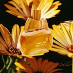 عطر ادکلن شِی أنفاسك دوخون - Shay Anfasic Dokhoon - بررسی، قیمت و خرید