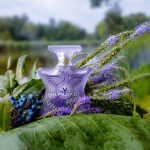 عطر ادکلن د سنت آف پیس باند نامبر ناین - The Scent Of Peace Bond No 9 - بررسی، قیمت و خرید