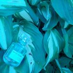 عطر ادکلن یونایتد دریمز لیو فری بنتون - United Dreams Live Free Benetton - بررسی، قیمت و خرید