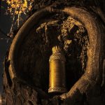 عطر ادکلن ذ مجستیک امبر الکساندر جی - The Majestic Amber Alexandre.J - بررسی، قیمت و خرید