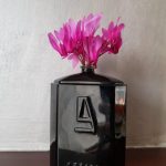 عطر ادکلن سیلور بلک آزارو - Silver Black Azzaro - بررسی، قیمت و خرید
