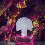 عطر ادکلن فلایت آو فَنسی آنا سوی - Flight Of Fancy Anna Sui - بررسی، قیمت و خرید