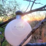 عطر ادکلن پیور الفرد سانگ - Pure Alfred Sung - بررسی، قیمت و خرید