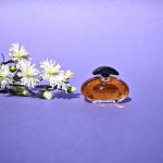 عطر ادکلن آن کلاین ۲ آن کلاین - Anne Klein 2 Anne Klein - بررسی، قیمت و خرید