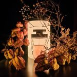 عطر ادکلن لا پانتر لجره کارتیر - La Panthere Legere Cartier - بررسی، قیمت و خرید