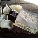 عطر ادکلن سرروتی 1881 سریه لیمیتد چروتی - Cerruti 1881 Serie Limitee Cerruti - بررسی، قیمت و خرید