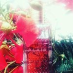 عطر ادکلن علیه او دو پرفیوم بلانش الایا پاریس - Alaïa Eau de Parfum Blanche Alaia Paris - بررسی، قیمت و خرید