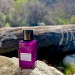 عطر ادکلن توبکو اند تونکا بین بنانا ریپابلیک - Tobacco & Tonka Bean Banana Republic - بررسی، قیمت و خرید