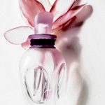 عطر ادکلن مای کویین دیلاکس ادیشن الکساندر مک‌کوئین - My Queen Deluxe Edition Alexander McQueen - بررسی، قیمت و خرید
