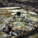 عطر ادکلن شنل نامبر نوزده شنل - Chanel N°19 Chanel - بررسی، قیمت و خرید