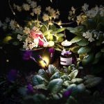 عطر ادکلن پچولی ایندالجنس ایون - Patchouli Indulgence Avon - بررسی، قیمت و خرید
