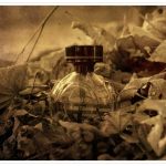 عطر ادکلن له بزِه دو دراگون او دِ توالت کارتیر - Le Baiser Du Dragon Eau de Toilette Cartier - بررسی، قیمت و خرید