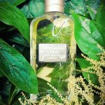 عطر ادکلن فرست اینستینکت شیر ابرکرامبی اند فچ - First Instinct Sheer Abercrombie & Fitch - بررسی، قیمت و خرید