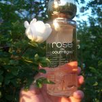 عطر ادکلن رز دو کورژ کورج - Rose de Courreges Courrèges - بررسی، قیمت و خرید